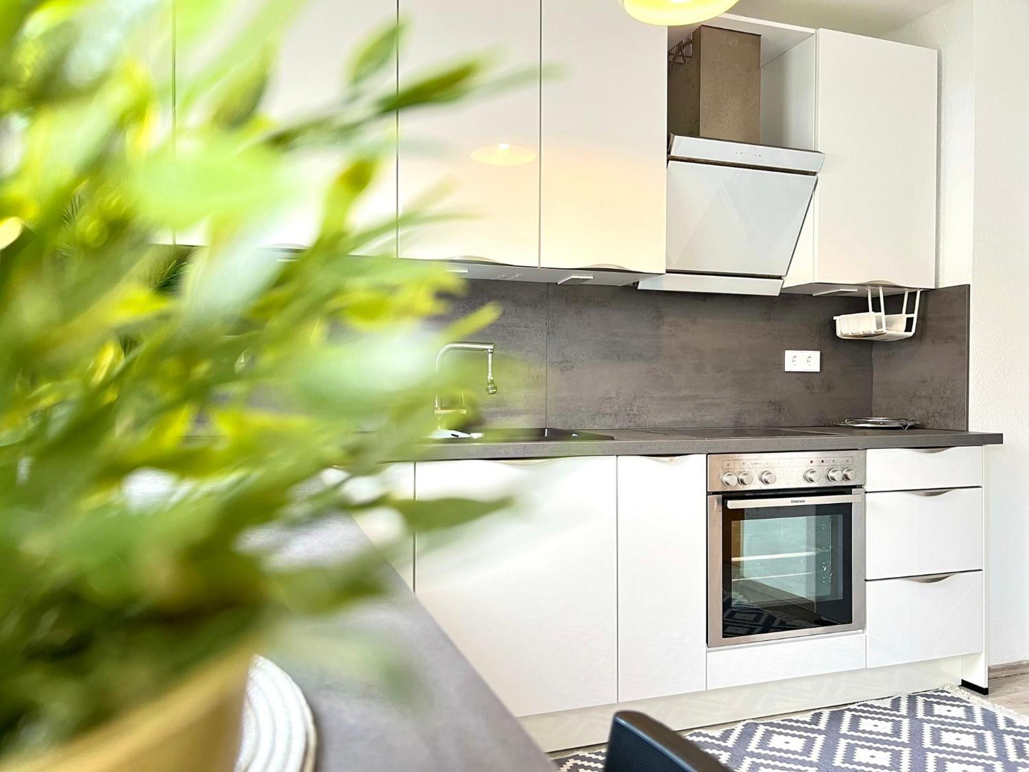 Comfy Apartment Mit Garten In Koeln Exterior photo